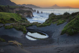 New Zealand 2025 (2 group) (57/84)